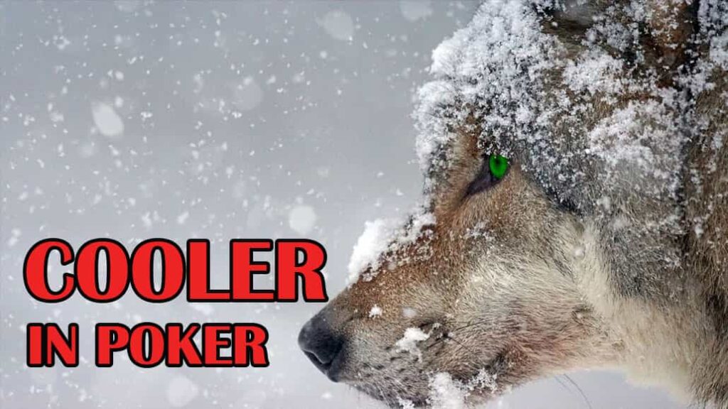 Poker Cooler Does It Really Matter To You?