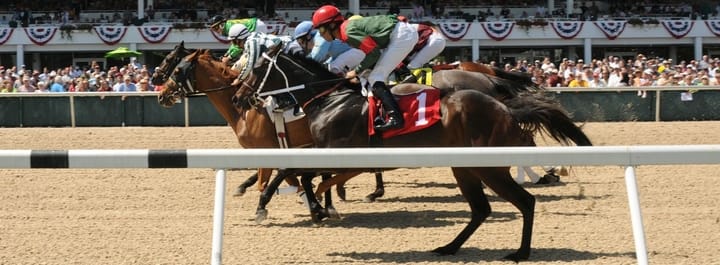 tampa bay downs race track