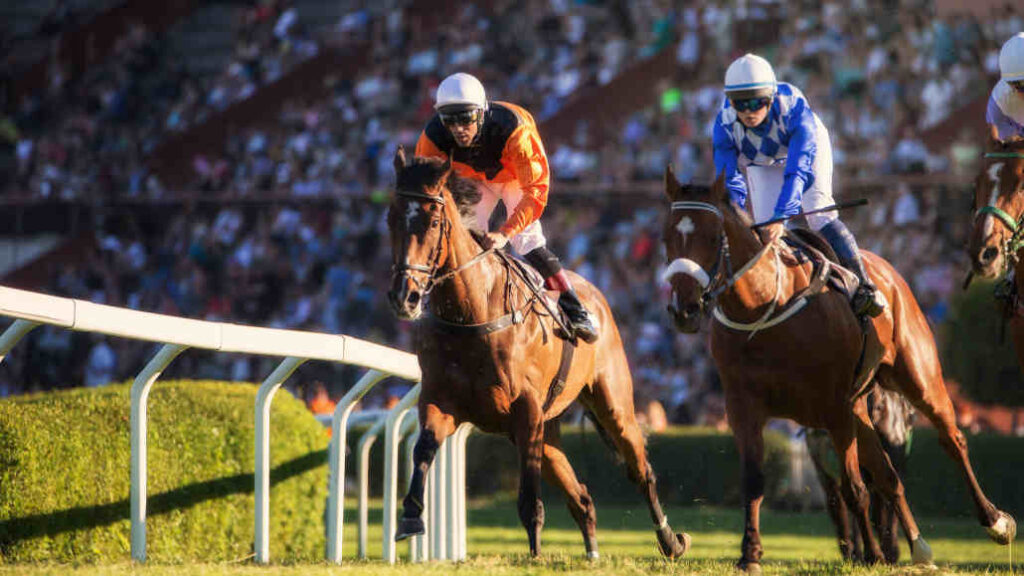 The Best Horse Racing Betting Sites in the US