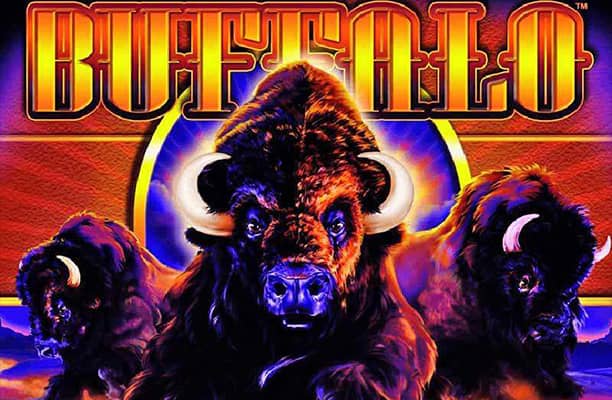 buffalo demo slot game