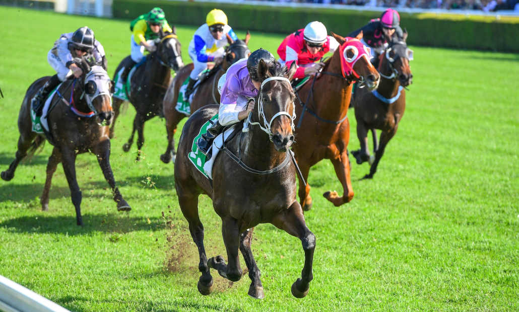 melbourne cup 2022 betting tips