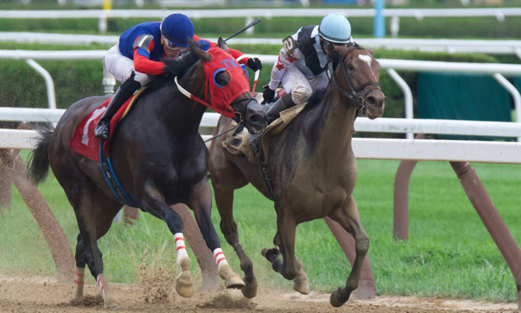 Win Bet in Horse Racing Understanding the Basics