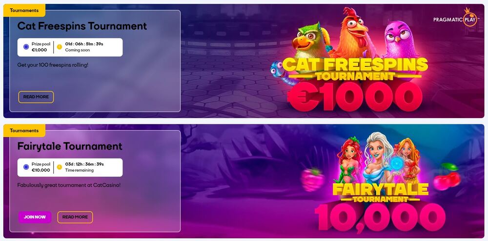 catcasino promotions