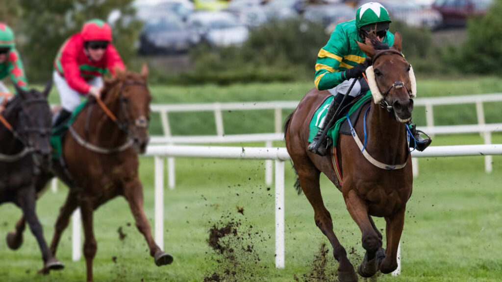 Exacta Bet in Horse Racing Understanding the Basics