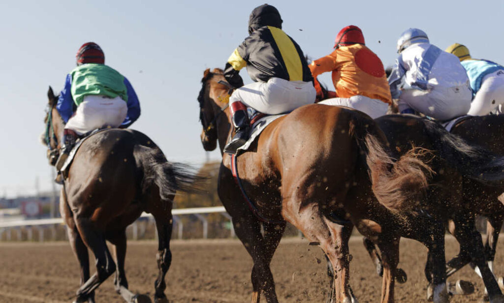 Exacta Bet in Horse Racing Understanding the Basics