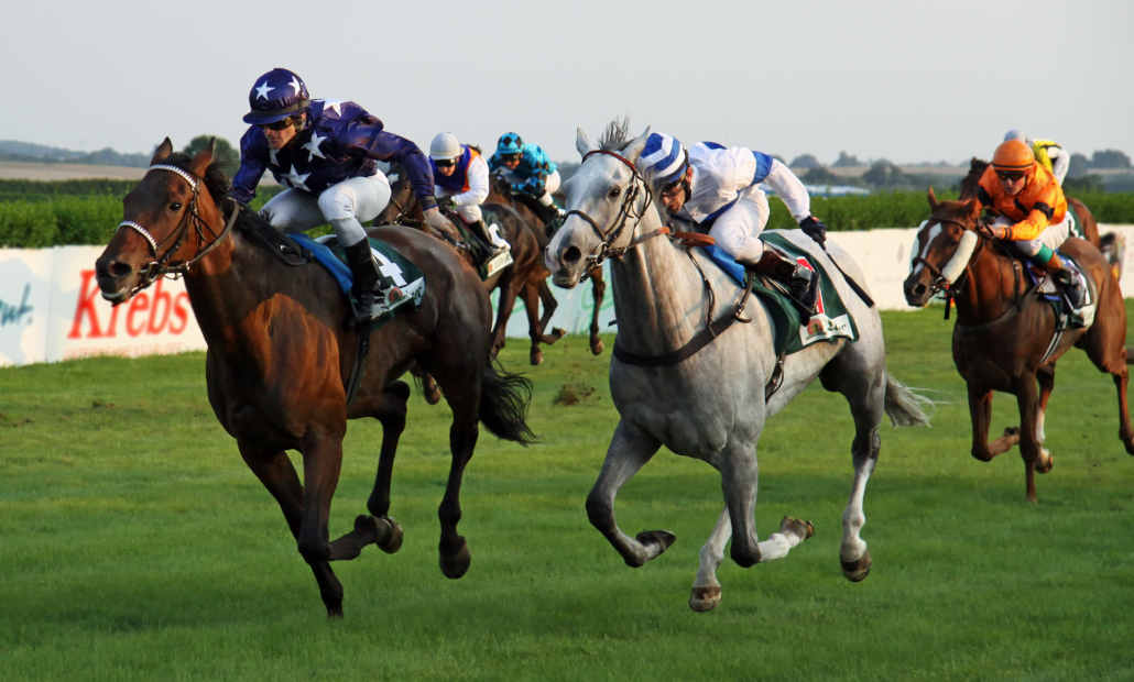 pick 4 horse racing payouts