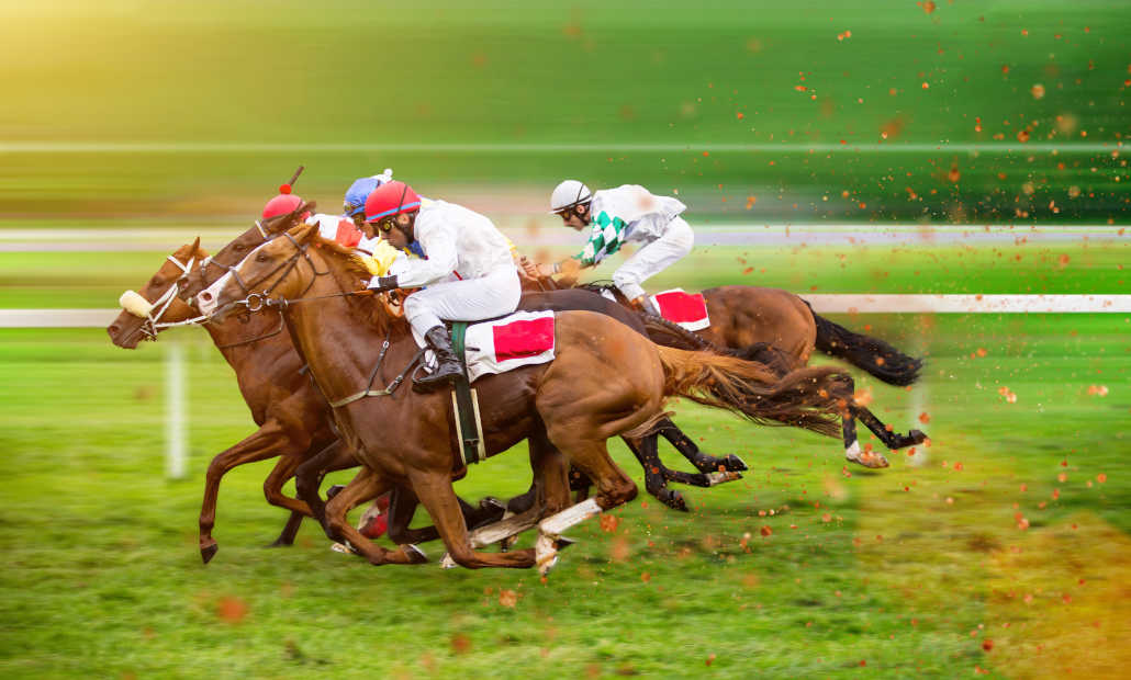 pick 4 horse racing