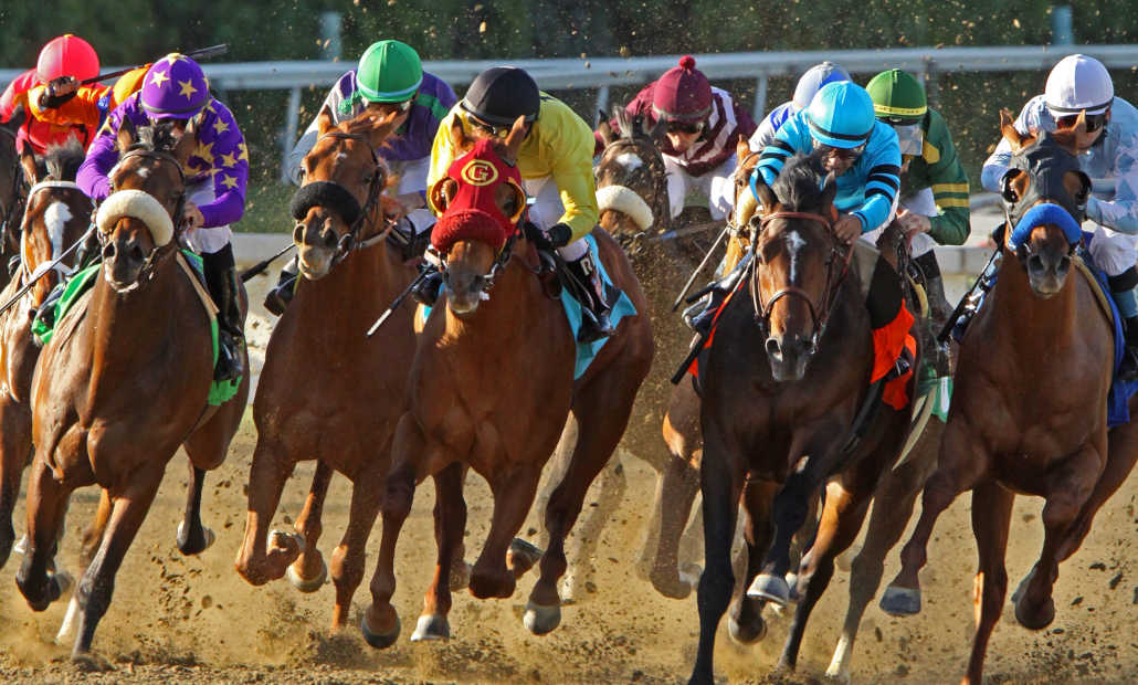 what is an exacta bet