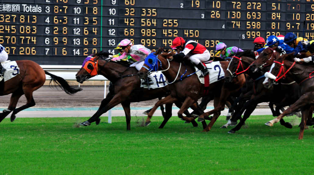 quinella horse racing