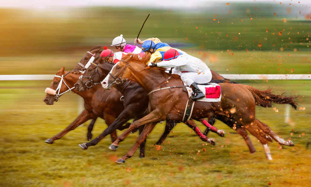 what is a superfecta in horse racing