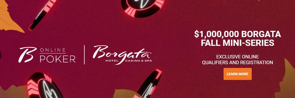 Borgata Online Poker NJ