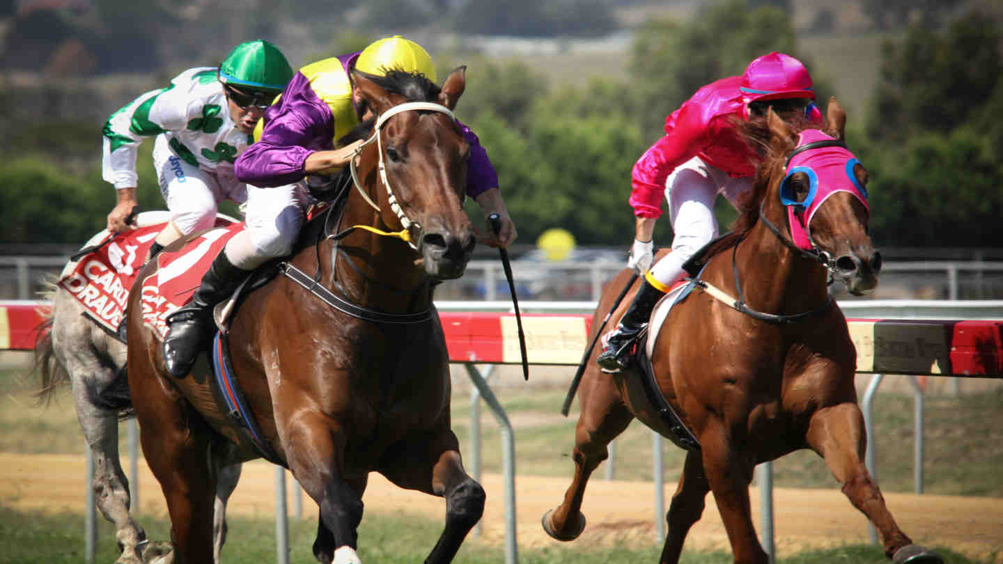 Mastering The Melbourne Cup Sweep