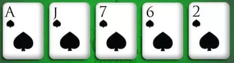 Flush Poker Hand