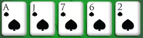 Flush Poker Hand