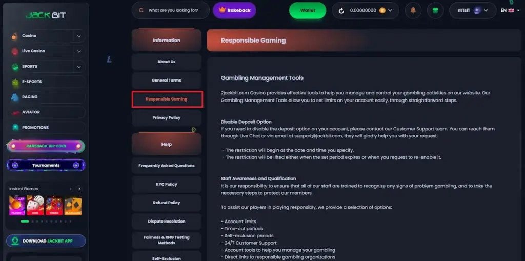 Screenshot of the JackBit "Information" sidebar with a red highlight box around the "Responsible Gaming" tab. The main panel displays details about Gambling Management Tools and account limit options.