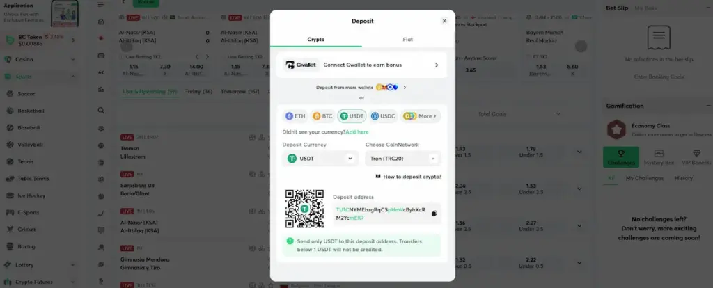 Live BC Game deposit window showing a USDT TRC20 address and QR code, verified as safe for crypto transactions in 2026.