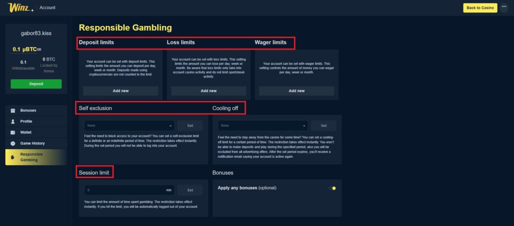 Real Winz.io responsible gambling screenshot showing deposit limits, self exclusion, and session control tools