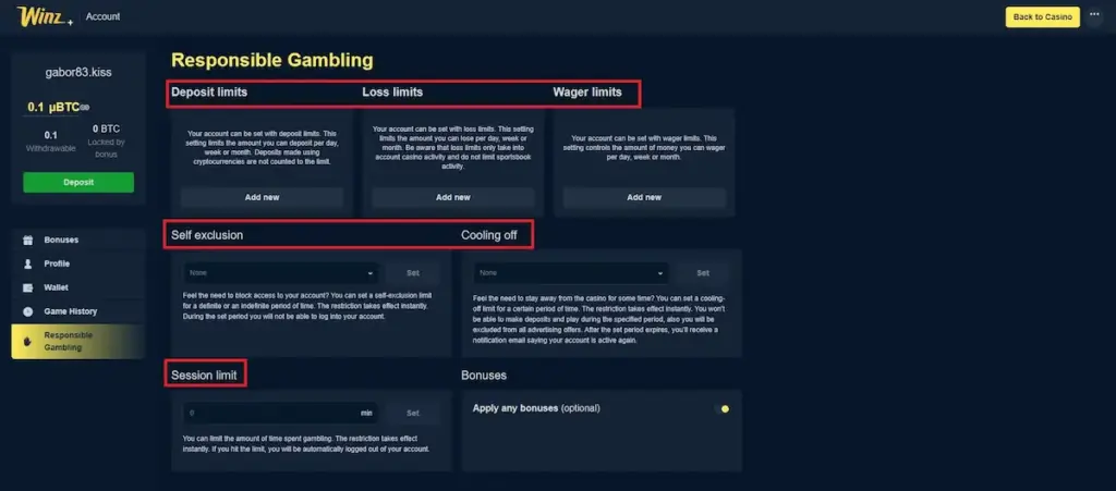 Real Winz+ responsible gambling screenshot showing deposit limits, self exclusion, and session control tools